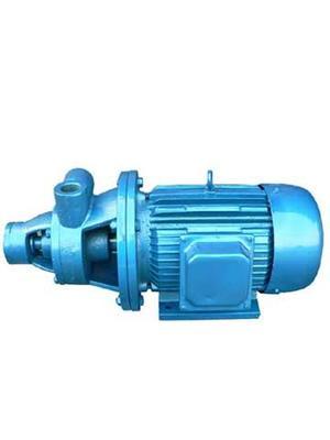 1w型单级旋涡泵-上海剑泉泵阀制造有限公司